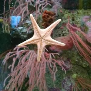 Meet your Posher, Louise